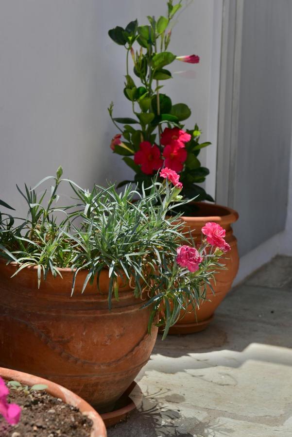 Feel At Home - Family House In Hydra Dış mekan fotoğraf